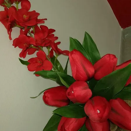 Aloha Giardini-Naxos