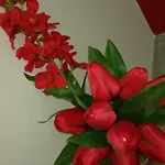 Aloha Giardini-Naxos