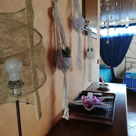 Aloha גיארדיני נאקסוס