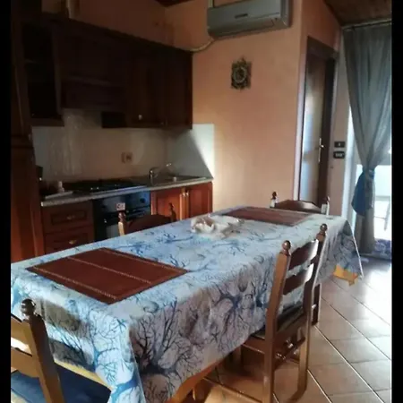 Aloha גיארדיני נאקסוס