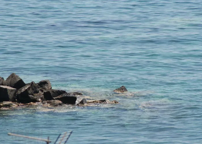 Aloha * ジャルディーニ・ナクソス