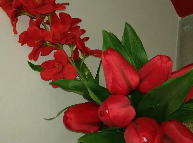 Aloha ジャルディーニ・ナクソス