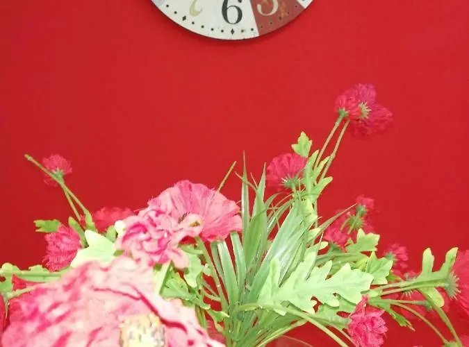 Aloha * ジャルディーニ・ナクソス